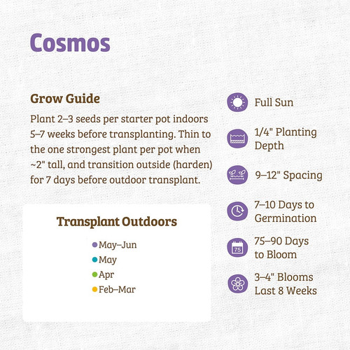 Cosmos Infographic.jpg
