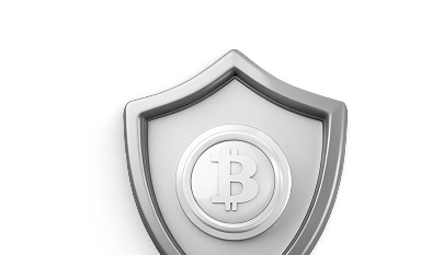 metal shield with cryptocurrency symbol in the cen.png