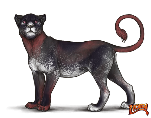 lioden wardrobe 4.png