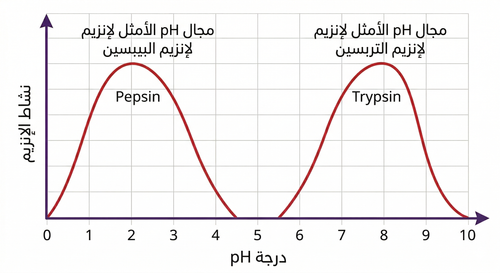 Gemini Generated Image ftlxqjftlxqjftlx.png