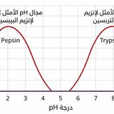 Gemini Generated Image ftlxqjftlxqjftlx