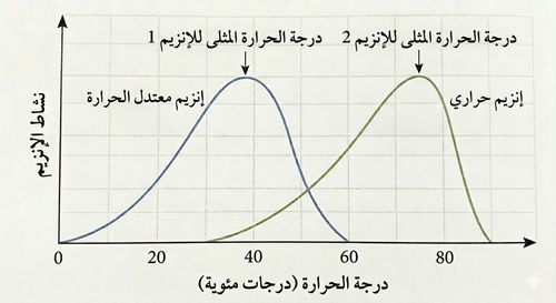 Gemini Generated Image mivujymivujymivu.png