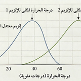 Gemini Generated Image mivujymivujymivu