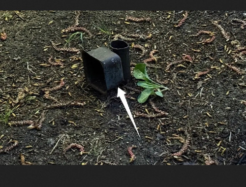 IMG 20260328 221555.jpg