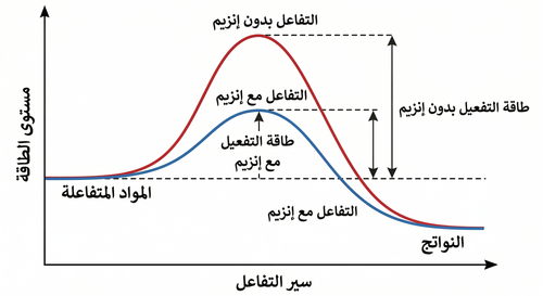 Gemini Generated Image 8lo2lk8lo2lk8lo2.png