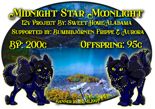 midnight star moonlight