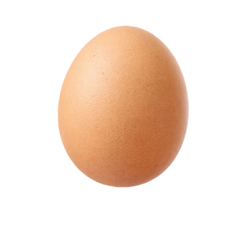 egg.png