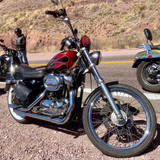 WhatsApp Image 2026 03 02 at 14.30.40