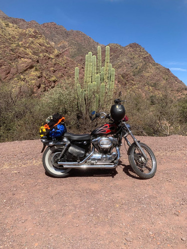 WhatsApp Image 2026 03 02 at 14.30.40 (4).jpg