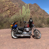 WhatsApp Image 2026 03 02 at 14.30.40 (4)