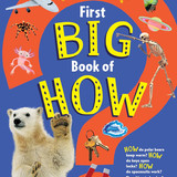 816MpPXqdUL. SL1500 