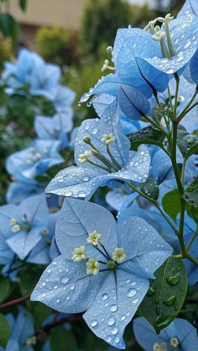 71vejoHb5pL. AC UF1000,1000 QL80.jpg