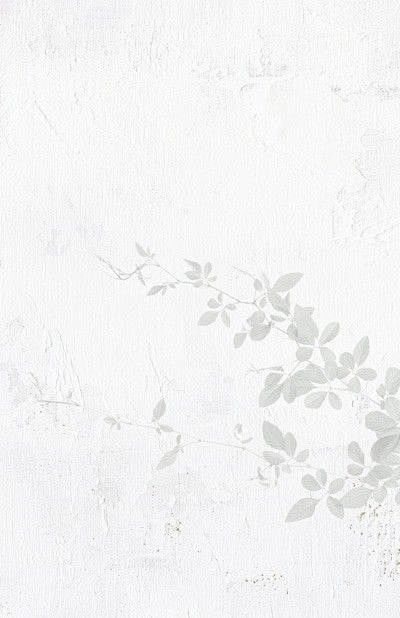 240cfdf949ccf97fe533c18cd8b0181098e70a1b6771 apG2WI fw1200.jpg
