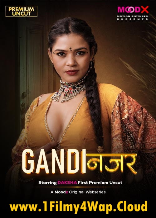 Gandi Najar 500x700.jpg