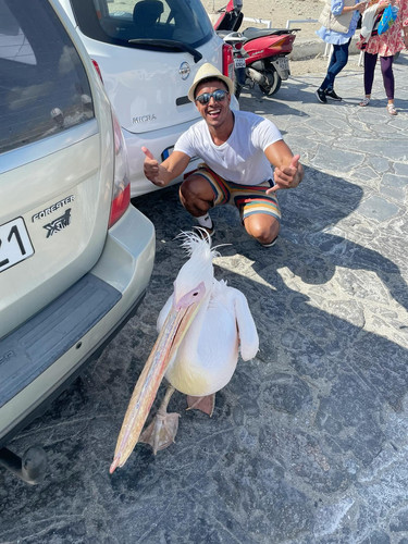 586292448 17850865143594390 2984240933757927319 n.jpg