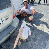 586292448 17850865143594390 2984240933757927319 n