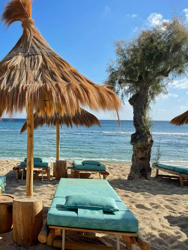 587017734 17850865068594390 6270459308857933813 n.jpg