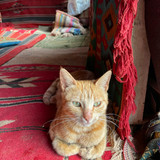 584758419 17850662319594390 6203697637415387718 n