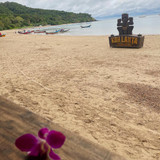 588573389 17855203920594390 7809341824762346415 n