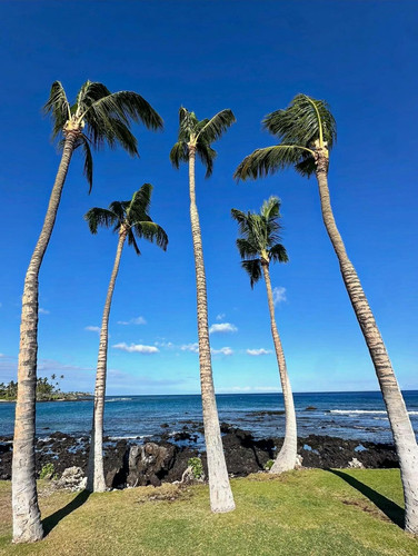 589272437 17851913751594390 6036358872688918901 n.jpg