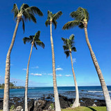 589272437 17851913751594390 6036358872688918901 n