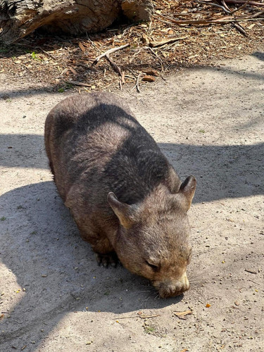 589584976 17852493879594390 7323676385989009210 n.jpg