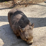 589584976 17852493879594390 7323676385989009210 n