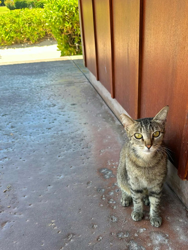 589307965 17851913973594390 2608913798028414945 n.jpg