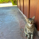 589307965 17851913973594390 2608913798028414945 n