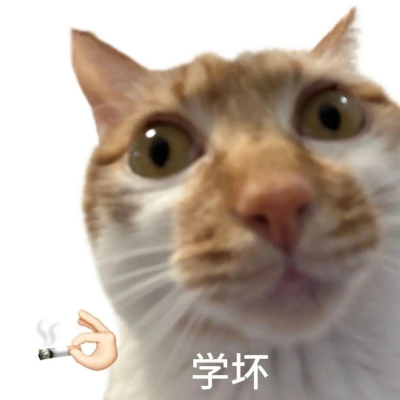 7b1ccea59272f081f4fe7f2b3020d35a.png