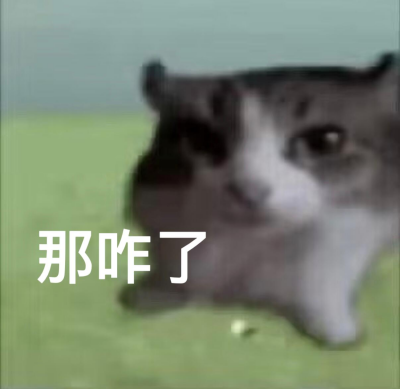 5a0b38ceca266d09e79f8b2b7c591077.png