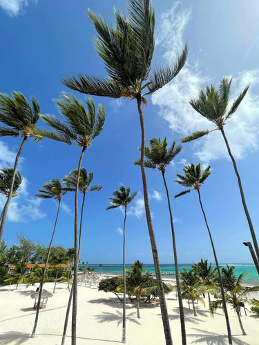 611006078 17857363752594390 549403009970881302 n.jpg