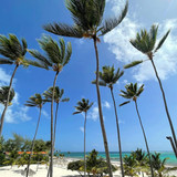 611006078 17857363752594390 549403009970881302 n