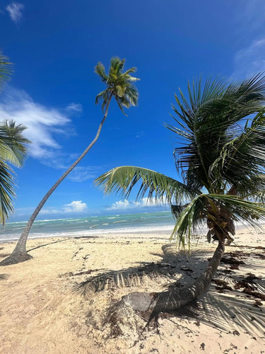 611679712 17857363608594390 3900627588931356743 n.jpg