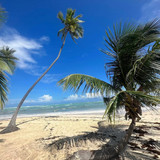 611679712 17857363608594390 3900627588931356743 n