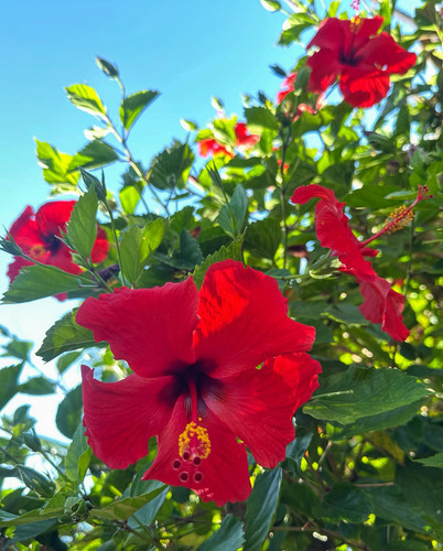 611694564 17857666821594390 6646906709854411507 n.jpg