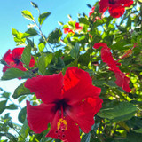 611694564 17857666821594390 6646906709854411507 n