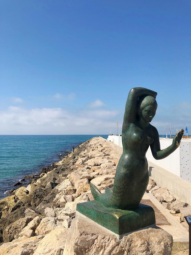 612056332 17858185494594390 5484731298277369735 n.jpg