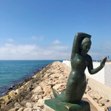 612056332 17858185494594390 5484731298277369735 n