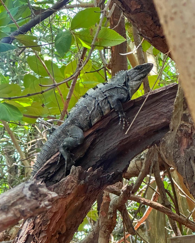 611671162 17857666731594390 2338749600540131804 n.jpg