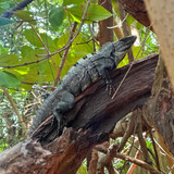 611671162 17857666731594390 2338749600540131804 n