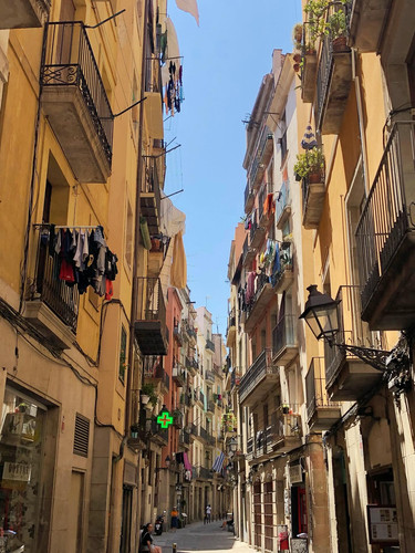 611635829 17858185386594390 3454246279124537899 n.jpg