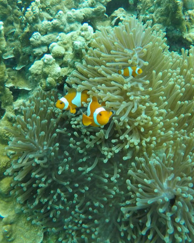 612472736 17857897779594390 1890534424311726681 n.jpg