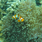 612472736 17857897779594390 1890534424311726681 n