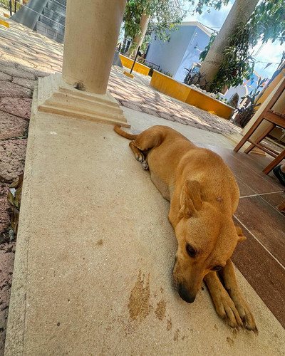 612121466 17857666713594390 3791657675749620730 n.jpg