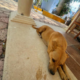 612121466 17857666713594390 3791657675749620730 n