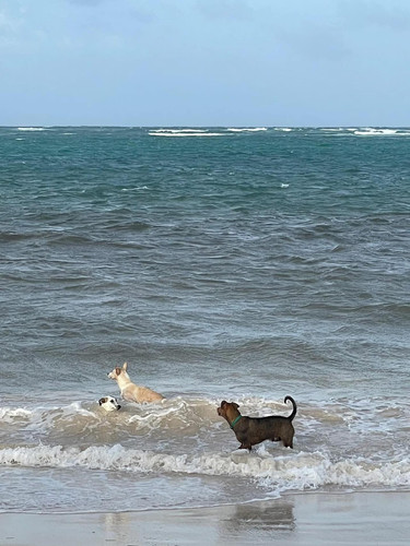 611655802 17857363677594390 5036587907330702058 n.jpg