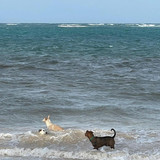 611655802 17857363677594390 5036587907330702058 n