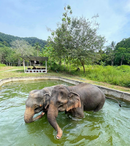 603940974 17855203866594390 5563331567107554347 n.jpg