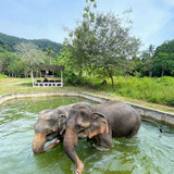 603940974 17855203866594390 5563331567107554347 n